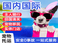 三亚空运国际宠物托运 【国